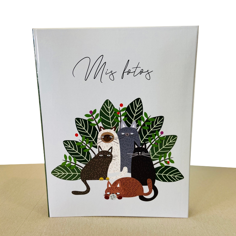 ÁLBUM CATS NEW ALBUM 15X21X100 